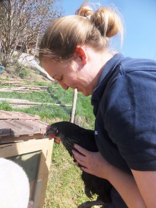 Give your chickens a general health check regularly