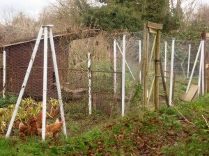 High fencing with dug in bottom