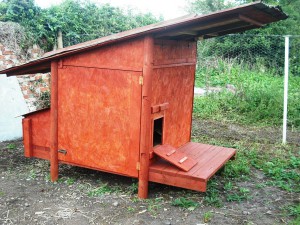 Our chicken house made using reused materials