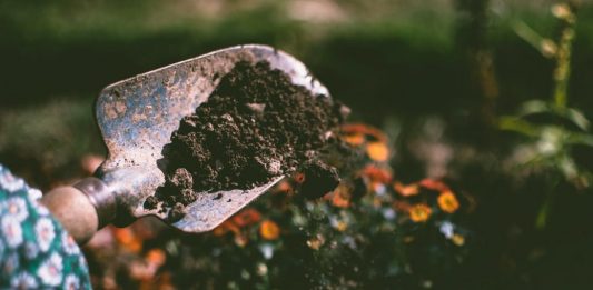 Composting with worms