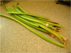 rhubarb8