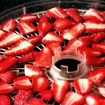 Clay_Food storage_Strawberries