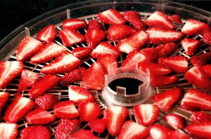 Clay_Food storage_Strawberries