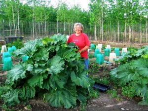 jackie and rhubarb 002 (2)