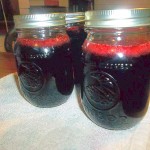 #12 – Blackberry jelly 07082014