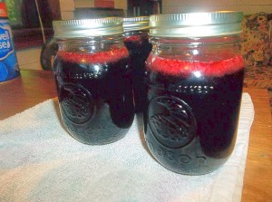 #12 - Blackberry jelly 07082014