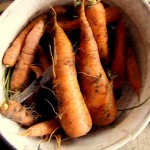 Clay_Carrots_Parsnips_02