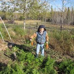 Clay_Carrots_Parsnips_04