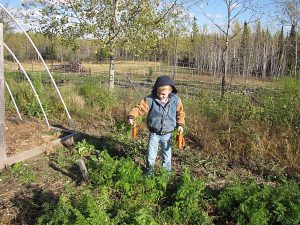 Clay_Carrots_Parsnips_04