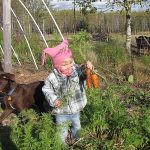 Clay_Carrots_Parsnips_05