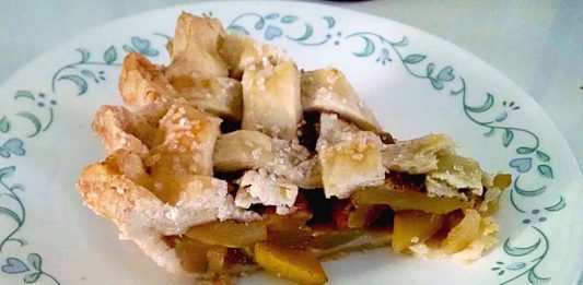 Zucchini: The Most Versatile Fruit In Your Garden