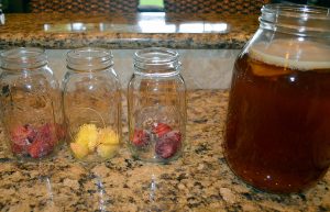 Souza_Kombucha_002 (3)