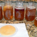 Souza_Kombucha_004 (3)