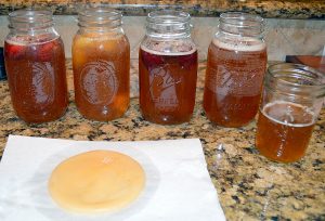 Souza_Kombucha_004 (3)