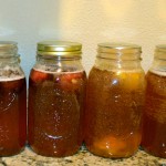 Souza_Kombucha_005 (3)