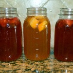 Souza_Kombucha_007