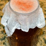 Souza_Kombucha_009