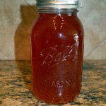 Souza_Kombucha_010 (3)