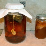 Souza_Kombucha_011