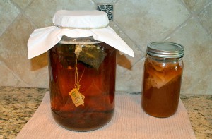 Souza_Kombucha_011