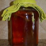 Souza_Kombucha_018