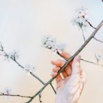 featured-2