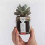 tumblr_ndw1punrK31sfyngeo3_1280