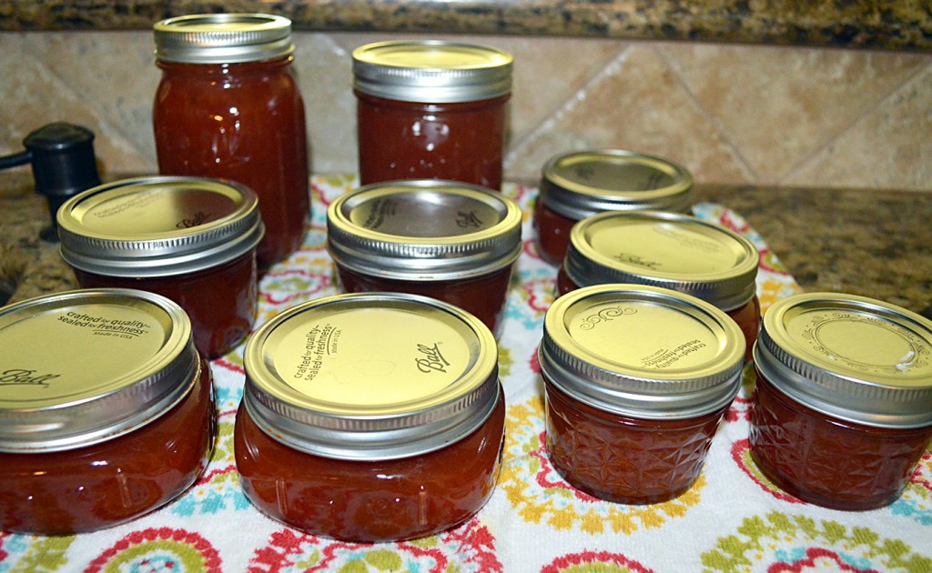 A Plethora Of Plums SelfReliance