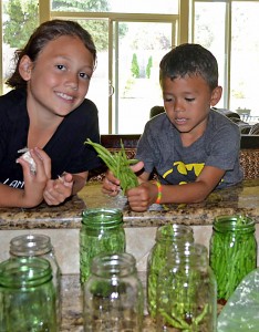 Kids_canning_beans