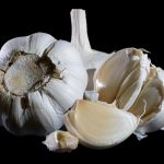 Zimnick_Garlic_01