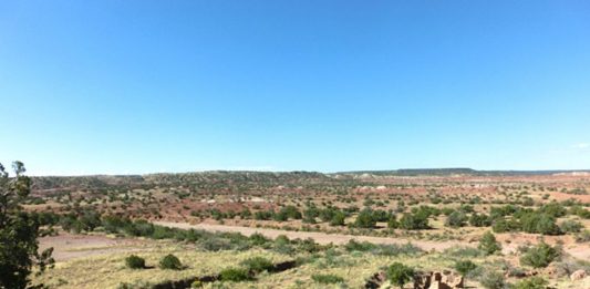 Confessions Of A Desert Rat — Life In The Boonies On $30 A Week