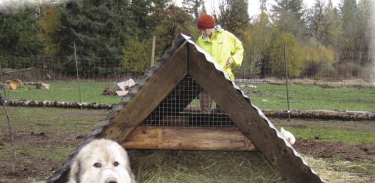 A-Frame Huts For Small Animals