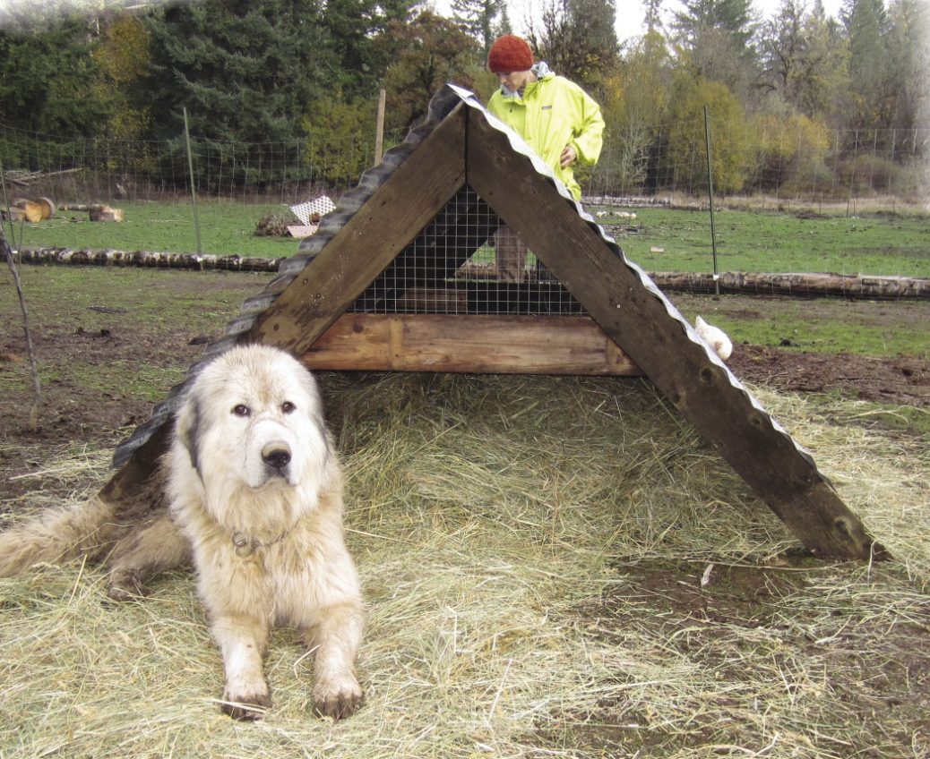 A-Frame Huts For Small Animals - Easy-to-build Lightweight Shelters