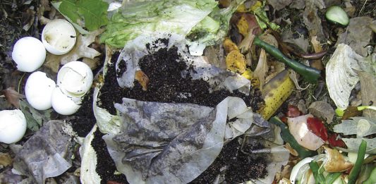 Melon Pits, Sheet Composting, And Compost Tea