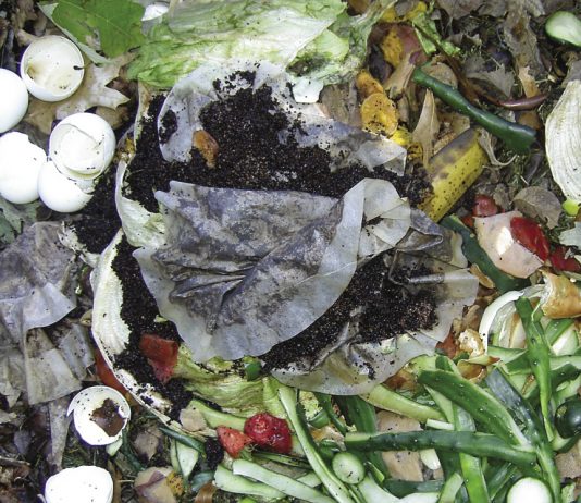 Melon Pits, Sheet Composting, And Compost Tea