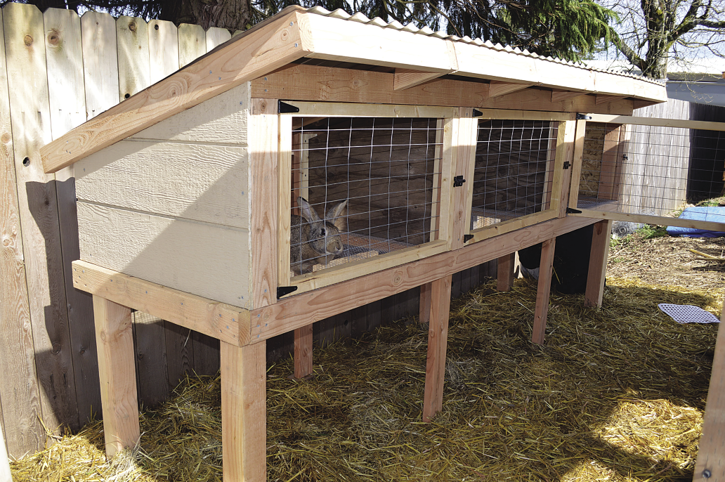 Build A Rabbit Hutch And Tractor