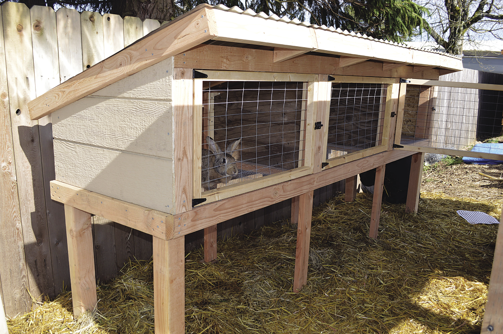 8ft rabbit hutch