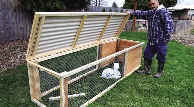 Build a rabbit hutch and tractor