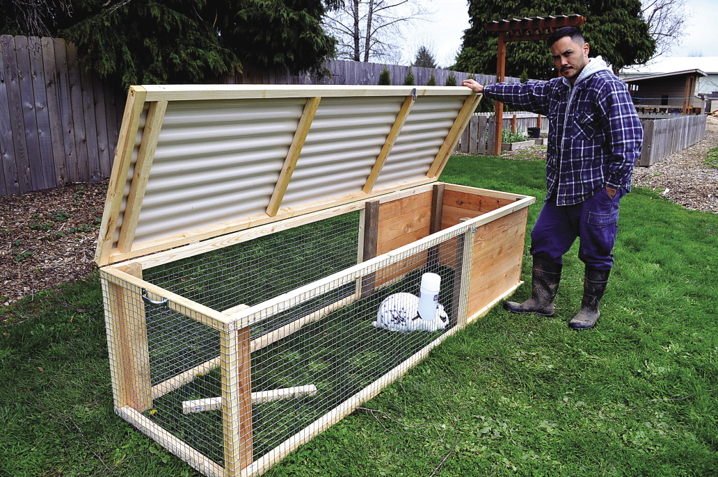 best rabbit enclosures