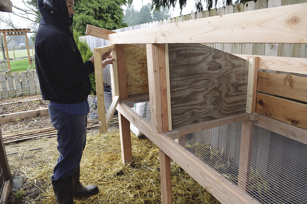 8ft rabbit hutch