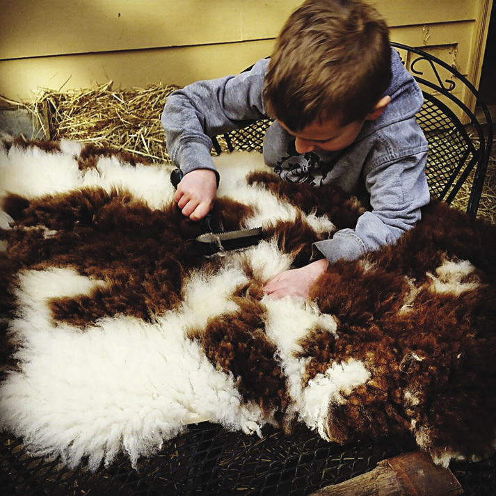 Tanning Sheepskins - “I Would Sleep On This