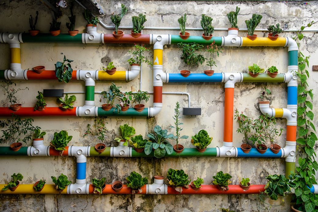 urbangardening