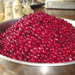 Bowl of Cranberries_opt