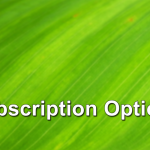 Sub options Header photo