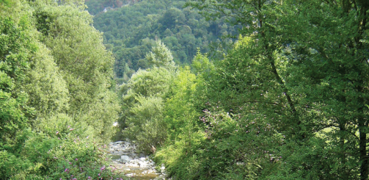 Where Will You Get Water In An Emergency?