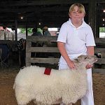 Kelley_4h sheep – Copy