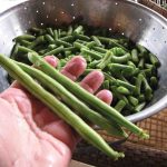 Clay_Beans_Provider_9440