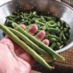 Clay_Beans_Provider_9440