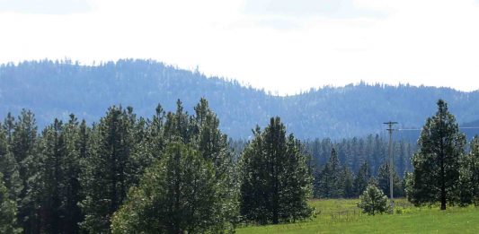 Low-cost living: Frugality as a way of life