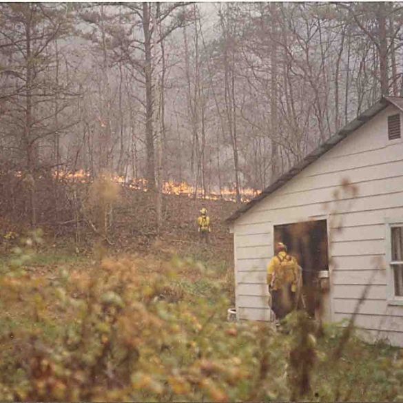 Sanders_Fire_05 SelfReliance